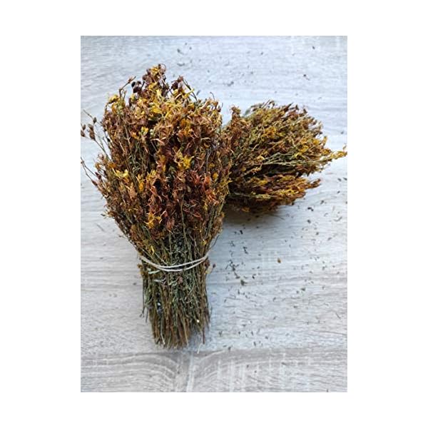 Wilder Johanniskraut-Kräutertee Ganze Bündel 220g - 1.95Kg Ernte Mai 2022 (1950 gramm) – Bild 6