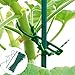 Jiecikou 50Pcs Reusable Plant Support Ties Adjustable Plant Twist Tie Garden Tool 5.3-inchthumb 2
