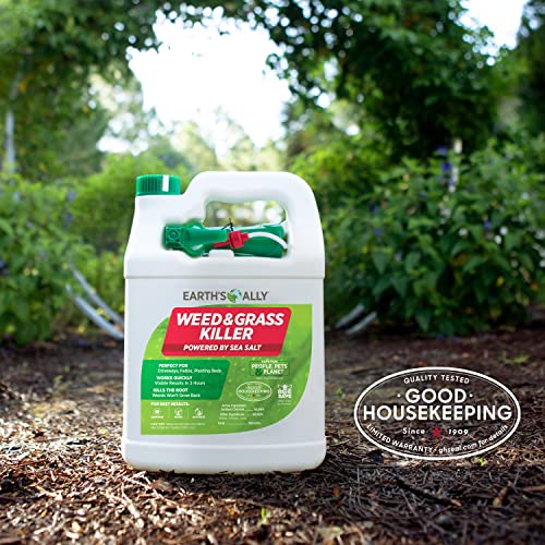 Earth's Ally Weed and Grass Killer Safe, PetFriendly Natural Weed Control Spray for Driveways