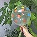 UTOPP 12 Inches Clear Balloons Colorful Polka Dots Big Helium Balloons Thick Latex Pack of 50
