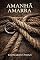 Livro Amanhã Amarra