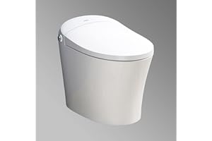 HOROW Heated Toilet, Modern Smart Toilet, Upgraded Self Cleaning One Piece Toilet with Warm Elongated Seat, White Tankless Toilet with Blackout Flush