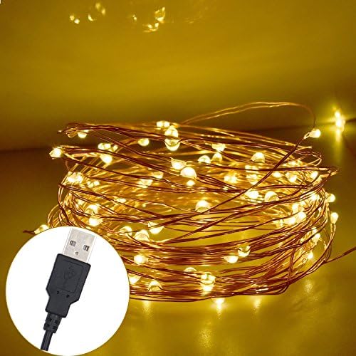 Seewa LED String Light, 33ft 100 LED Dimmable Waterproof Decorative Lights with USB Powered for Indoor and Outdoor, , Bedroom, Patio, Garden, Wedding, Parties (Warm White)