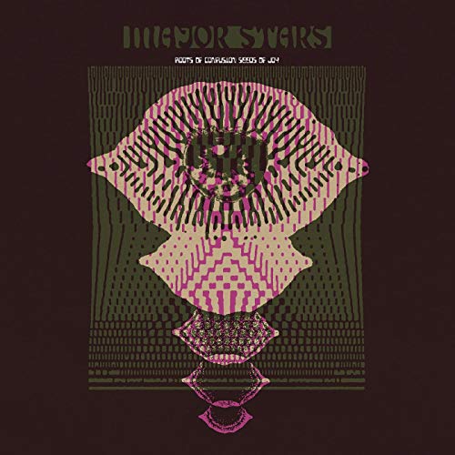 Album art for Roots of Confusion Seeds of Joy by Major Stars