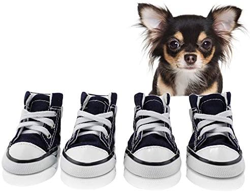 dog canvas shoes