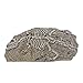 Saim Aquarium Resin Dinosaur Fossil Ornament Decor for Fish Tankthumb 2