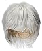COSPLAZA Tokyo Ghouls Ken Kaneki Cosplay Wig Short Halloween Party, Silver White