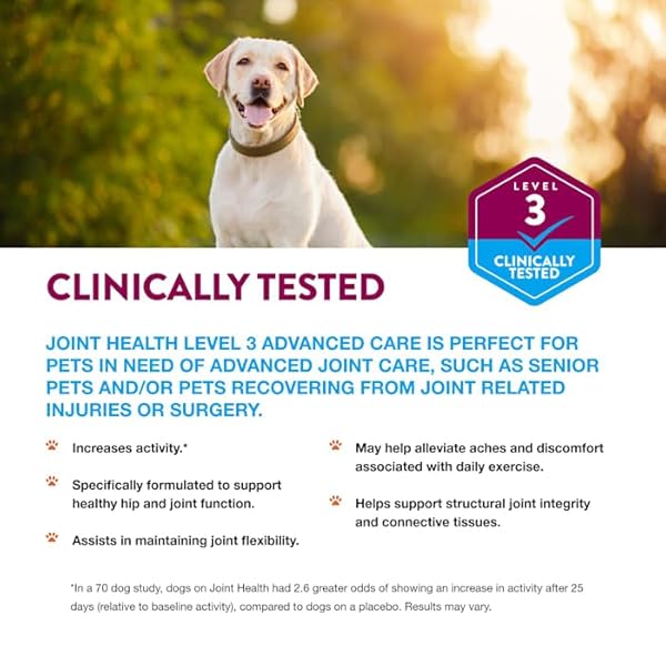 NATURVET JOINT HEALTH LEVEL 3 PET SUPPLEMENT FOR CATS & DOGS – HELPS SUPPORT HIP & JOINT FUNCTION – INCLUDES HYALURONIC ACID, GLUCOSAMINE, MSM, CHONDROITIN – 10 OZ. POWDER
