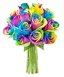 KaBloom Bouquet of 12 Fresh Rainbow Roses