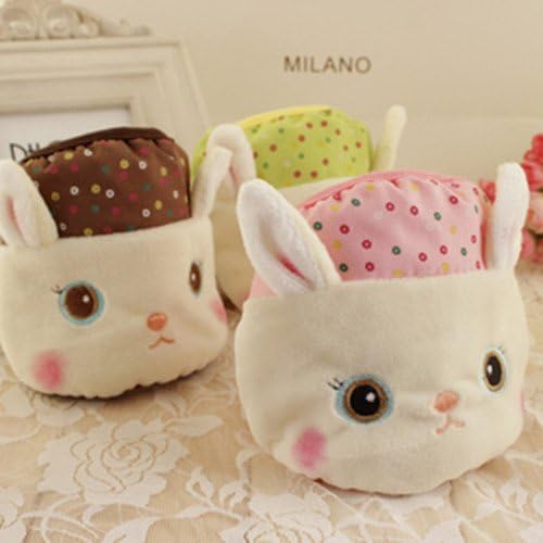 Famixyal 3 Pcs Cute Bunny Korean fashion Adult Face Mask plush cloth embroidered floral female rabbit warm personality masks Anti Dust riding masks Wholesale