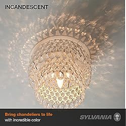 SYLVANIA Incandescent Décor Light