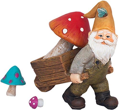 Wonky Hill Fairy Garden Gnome MacGregor Set