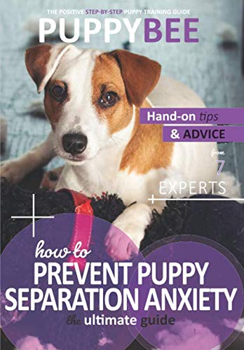 puppy separation training