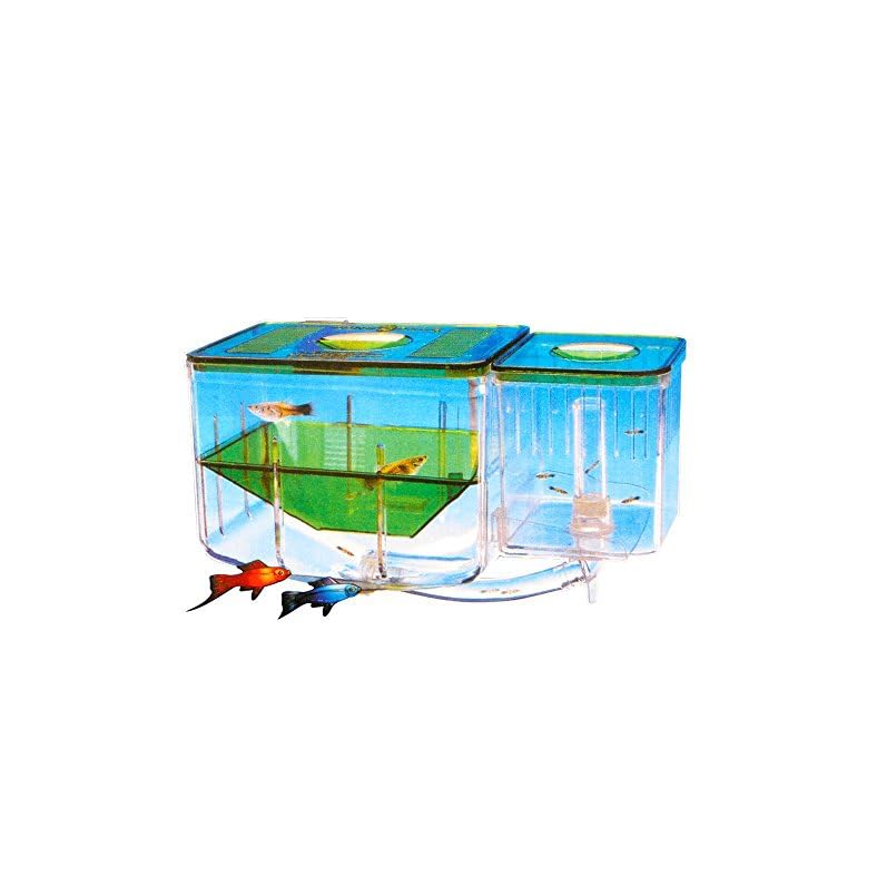 Saim Fish Breeding Tanks Aquarium Nursery Automatic Circulating
