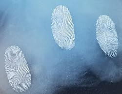 Black Magnetic Fingerprint Powder, 30ml
