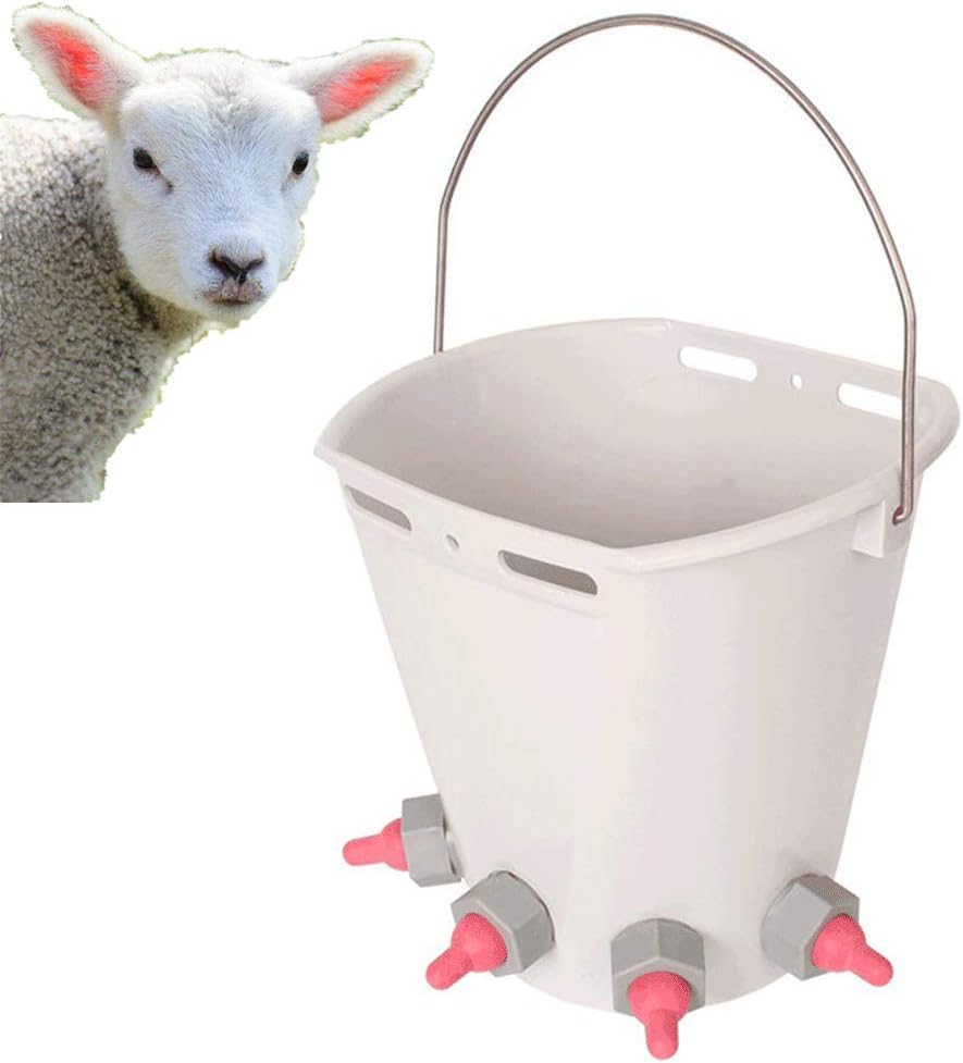 Sheep Feeding Bucket 8l Lamb Feeder Bucket Pasture Animal