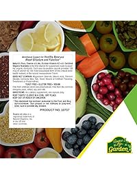 Nature 's Plus, fuente de la vida, jardín, Vitamina K2, 60 vegan Caps, 097467307377, 60, 1, 1