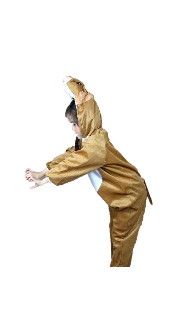 Matissa Kids Animal costumes Boys Girls Unisex Pajamas Fancy Dress outfit Cosplay Children onesies (Lion, L (kids 105-120 cm tall))