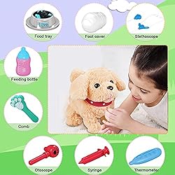Koonie Walking Toy