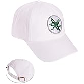 Desert Cactus The Ohio State University Baseball Hat OSU Buckeyes Brimmed Embroidered Hats Cap Strap Adult (Style XVW)