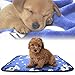 iNNEXT 2 Pack Warm Puppy Blanket for Pet Cushion, Car, Coach, Sofa, Furniture Protector, Small Dog Cat Bed Warm Sleep Mat, Pet Dog Cat Puppy Kitten Soft Blanket Doggy Warm Bed Mat Paw Print