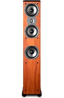 polk audio tsi300