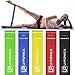 Fitness Insanity Resistance Loop Bands - Set of 5