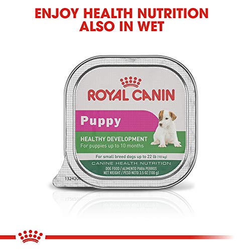 royal canin starter formula