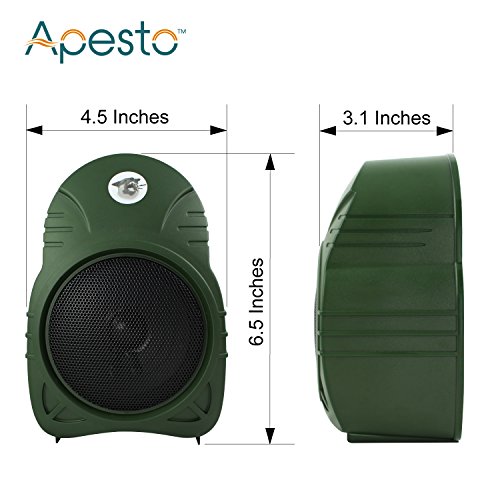 Apesto (The Sentry Safety Technology International Electronic Watchdog