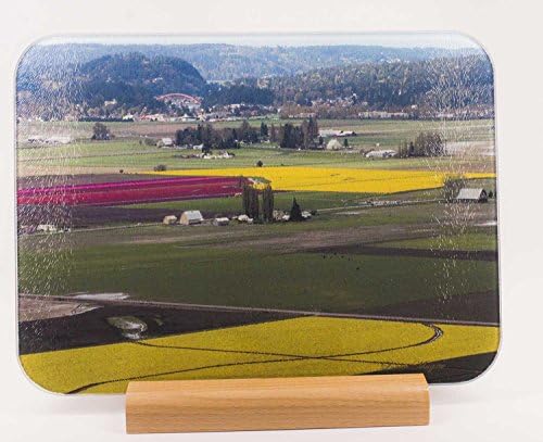 Skagit Valley Aerial Tempered Glass Cutting Board with wood stand (CBF384)