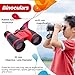 Kids binoculars - Outdoor adventure set - compact folding binoculars for kids, crank LED flashlight , spy glass , compass . For childrens bird watching , camping , pretend play - Educational toy