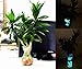 150pcs Glow in The Dark Garden Pebbles,Glow Stones Rocks for Walkways Outdoor Decor Aquarium Fish Tank Garden Decorative Stones for Path Lawn Yard Walkway (Multicolor)