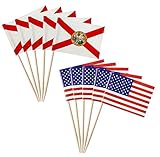 stidsds 100 Pcs American USA Florida FL Flag US