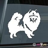Keeshond Sticker Vinyl Auto Window kees