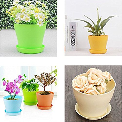 6 Pack Colorful Round Plastic Plant Pots With Saucers, 4 Inch