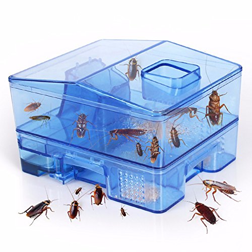 Efficient and Reusable Cockroach Trap Killer, Quickly Captured Roaches, Non-Toxic and ECO-Friendly Efficient and Reusable Cockroach Trap Killer, Quickly Captured Roaches, Non-Toxic and ECO-Friendly