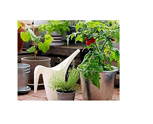 IKEA Ps Watering Cans New Colors Spring 2016 (Fashion White)
