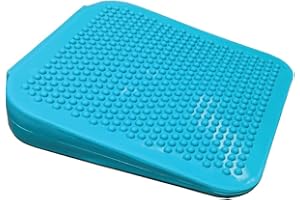 FitPaws® Balance Ramp, Aqua | Dog Exercise Equipment | Workout Tool for Strength, Core, Stability & Rehabilitation