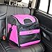 Dr. Driver Travel Car Cooler Bag with Shoulder Strap, Portable Trunk Organizer and Picnic Cooler Combo by (Black and Pink)