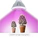 I-PURE ITEMS TM 24W LED Grow Light Bulb, High Efficient Plant Growing Lamps for Garden, Greenhouse, Indoor Gardening,Hydroponic and Family Balcony