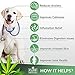 Advanced Hemp Chews for Dogs, Hip and Joint Supplement for Pain and Stress Relief, Separation Anxiety, Calming, Glucosamine and Turmeric Plus Natural Hemp Oil-Infused Treats, Maximum Potency