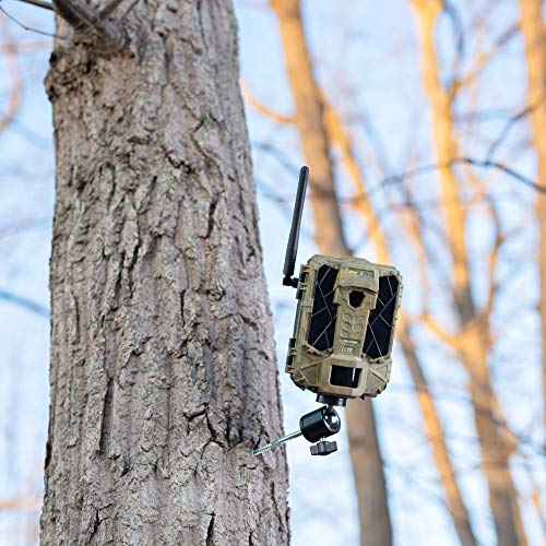 Spypoint Link DarkV 4G LTE Cellular Trail Camera With Batteries, SD