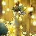 Lalapao Global String Lights 2 Pack 19ft 40 LED Starry Lights Xmas Battery Powered Fairy Light Waterproof Christmas Lighting Decor with 5 Modes for Outdoor Indoor Partly Garden Wedding (Warm White)