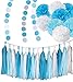 Fonder Mols Blue White Tissue Paper Pom Poms Kit for Baby Boy 1st / First Birthday Party Decorations