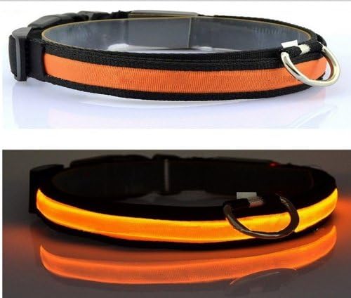 LED High Visibility Flashing Light Night Safety Dog Collar Lights Orange Nylon Size S