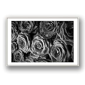 Framed Canvas Wall Art for Living Room, Bedroom Grey Rose Flowers Canvas Prints for Modern Home Decoration Ready to Hang - 16"x24" inches