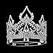 DcZeRong Women Crowns Queen Crowns For Women Prom Pageant Party Rhinestone Crystal Women Birthday Queen Crowns Standard Size Full Round Tiaras Crowns