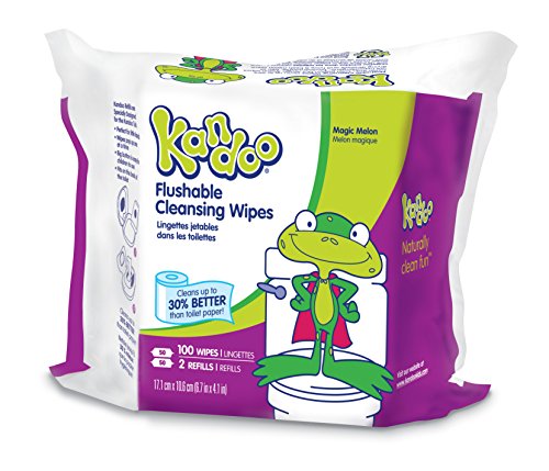 Flushable Baby Wipes for Kids, Magic Melon by Kandoo, Potty Training Wet Cleansing Cloths Refills, 100 Ct, Pack of 6 (Packaging May Vary)
