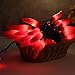 LIDORE Chili Pepper String Light Summer Kitchen Garden Patio Decoration Fairy Light Connectable Plug in UL Listed 35 Counts Red Chili 13FT