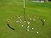 EyeLine Golf Target Circle